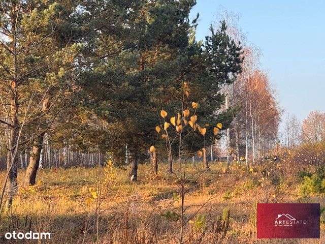 Na sprzedaż 4 działki w Nowomłynach gm Parzęczew o - Pełny obrazek: 4/15