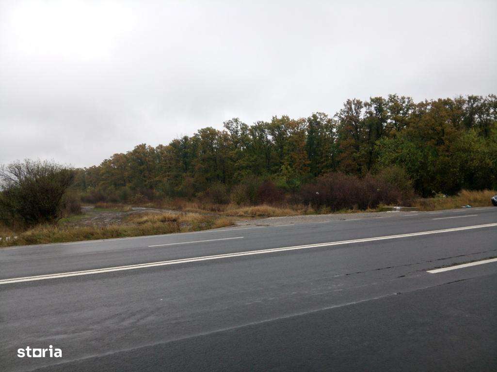 Vand Teren pt. PARC FOTOVOLTAIC, BENZINARIE, HALE - DN5 Buc.-Gr. Km.45-11