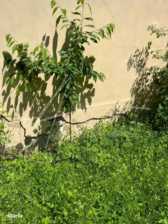 Teren intravilan 1740 mp. cu casa intabulata in PH-PROVITA DE SUS-18