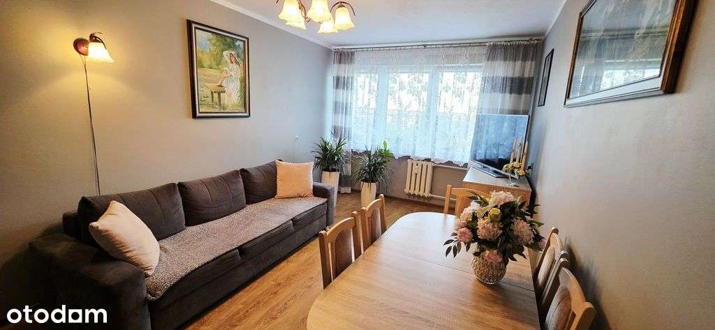 Piękne mieszkanie w centrum Polic-1