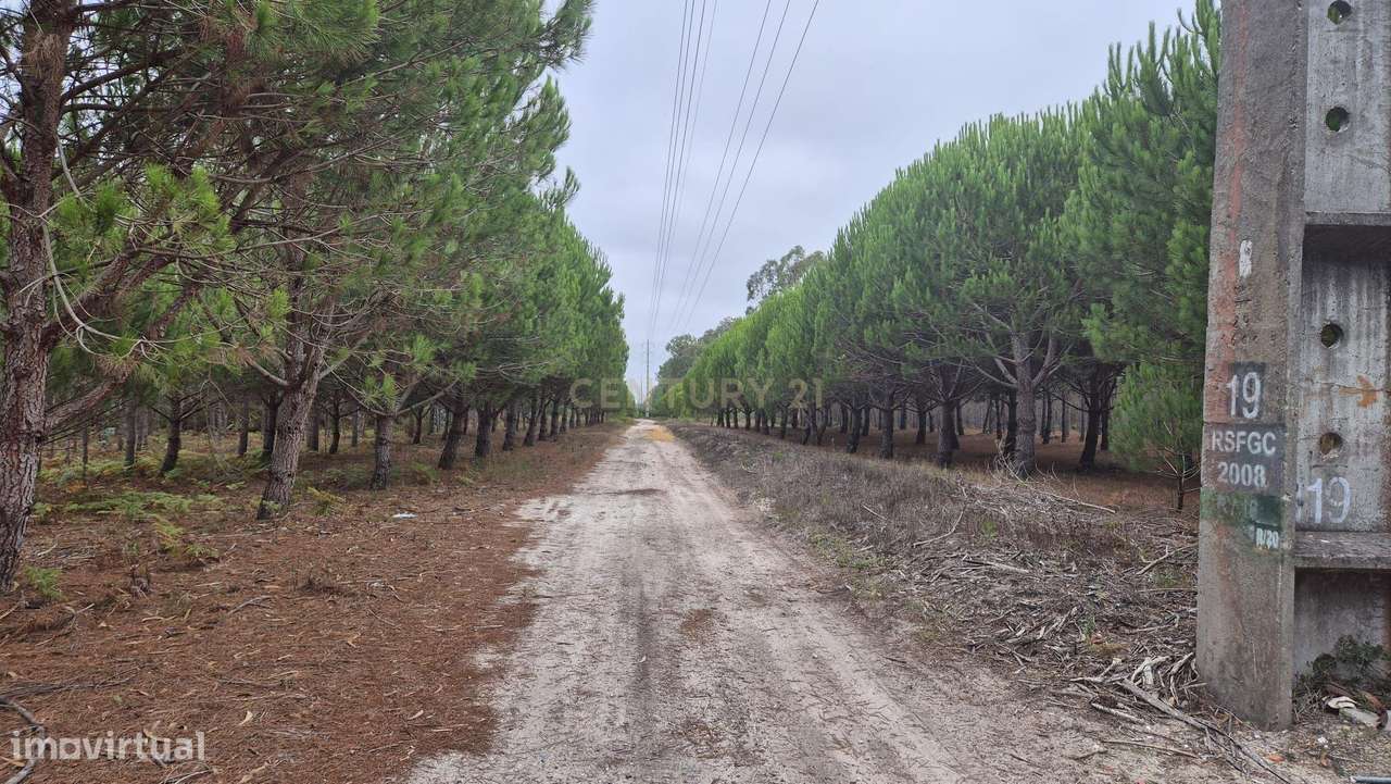 Terreno Industrial com Grande Potencial em Garcia, Marinha Grande | 23 - Grande imagem: 5/21