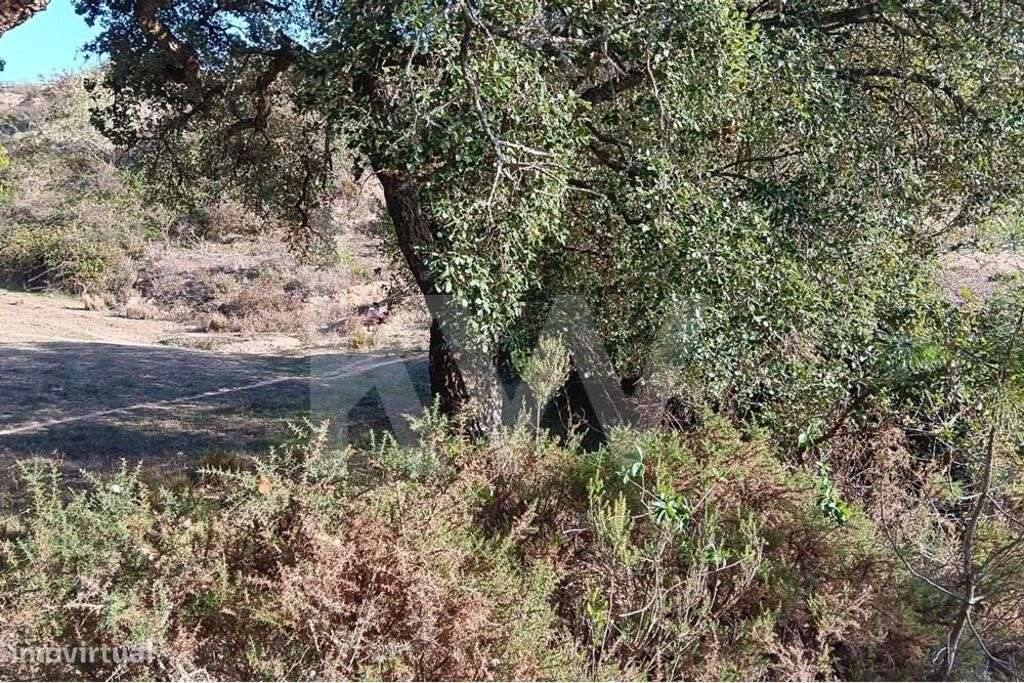 Venda de terreno agrícola com 3 hectares em Jerumelo, Malveira - Grande imagem: 5/14