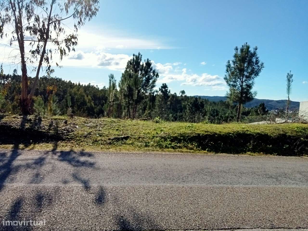 Terreno Rústico de 1840 m² em Abrantes - Grande imagem: 3/3