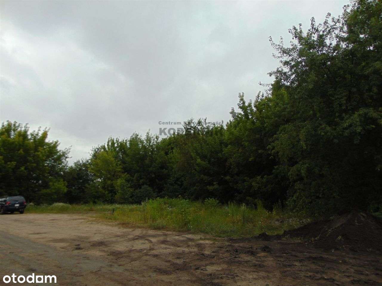 Trzy Działki !!! Toruń Rudak 5353m2 - Pełny obrazek: 5/5