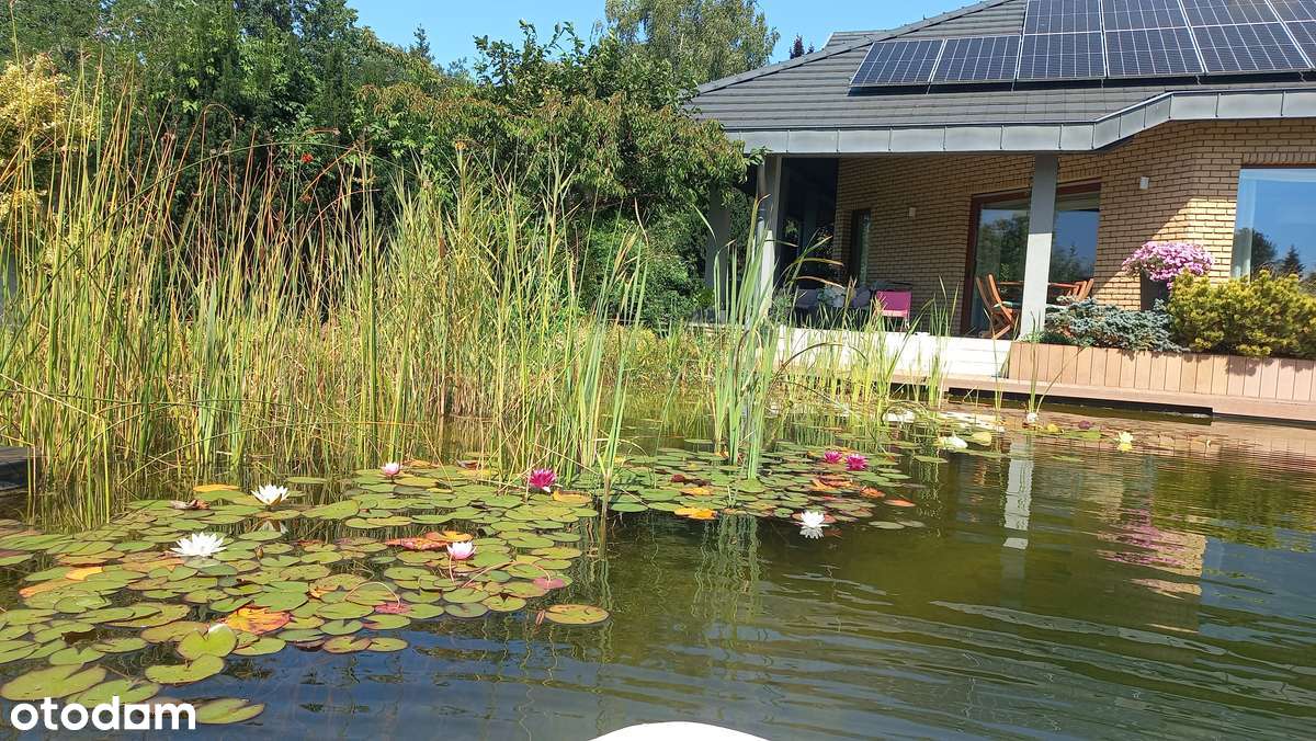 Zjawiskowy Dom w Izabelinie - działka 2450m2 - staw kąpielowy BioNova - Pełny obrazek: 4/15