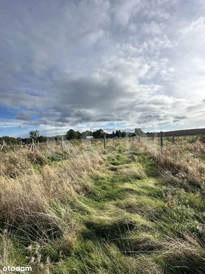 Działka "na odludziu" w miejscowości Dłużec-5