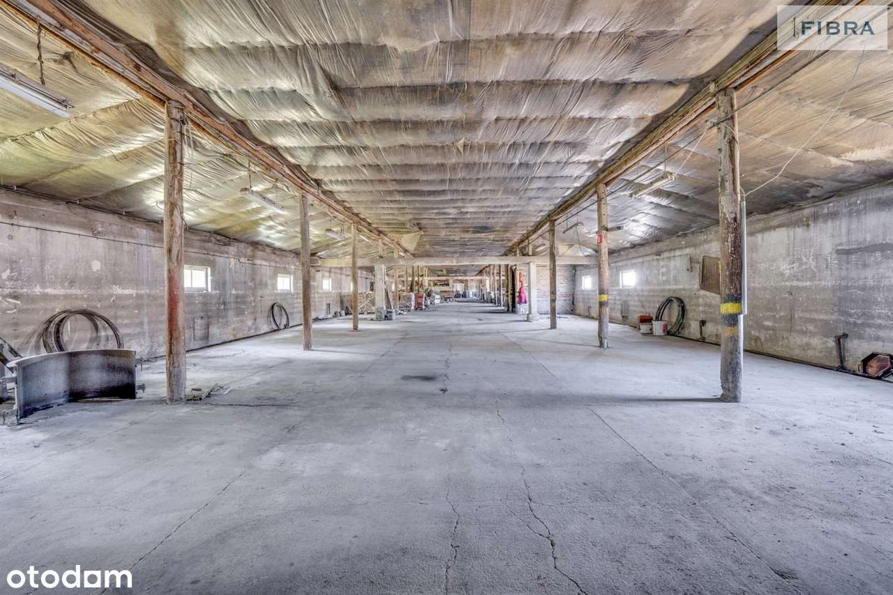 Również na produkcję i ciężkie usługi - Pełny obrazek: 4/18