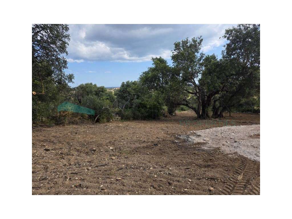 Terreno rústico - Boliqueime - Grande imagem: 5/23