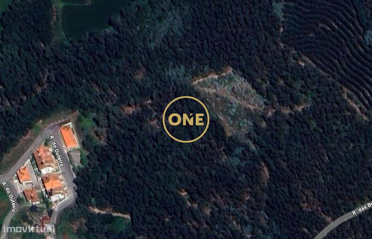 Bouça Murada em Lemenhe - Grande imagem: 3/3