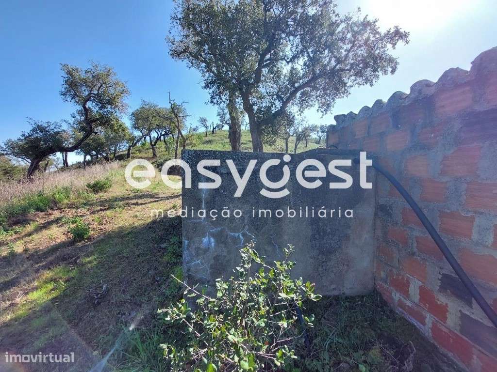 Monte para recuperar no concelho de São Martinho das Amoreiras - Grande imagem: 5/15