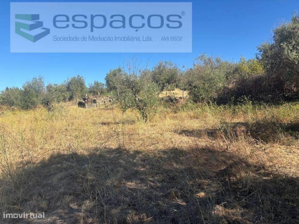 Moradia com terreno-4