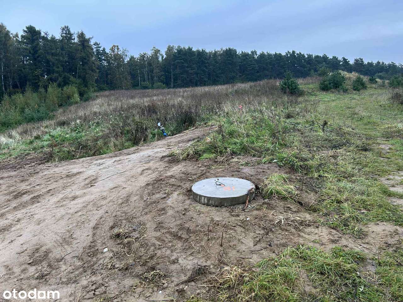 Działka z pozwoleniem na budowę - Pierwoszyno - Pełny obrazek: 3/7
