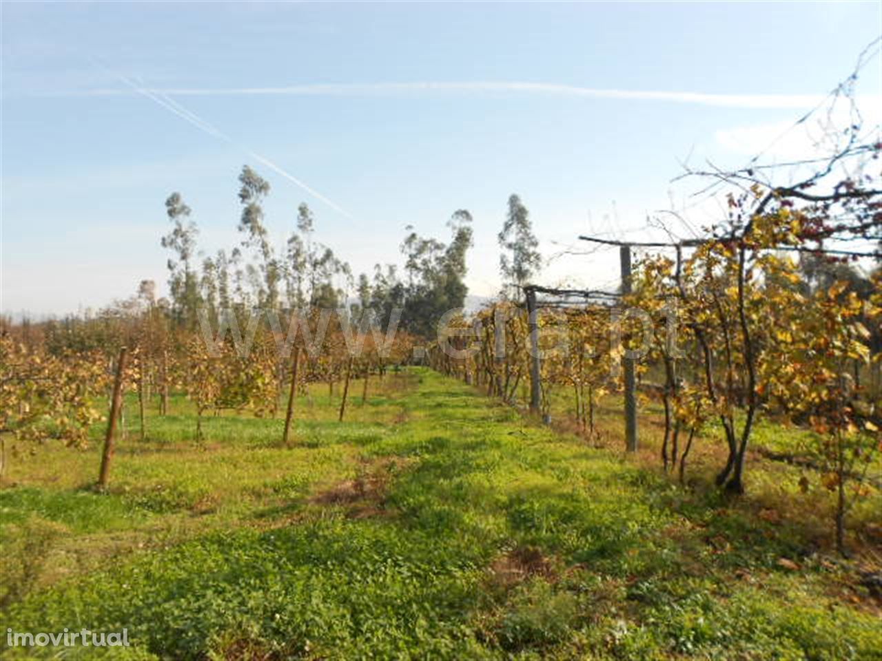 Terreno industrial, Briteiros