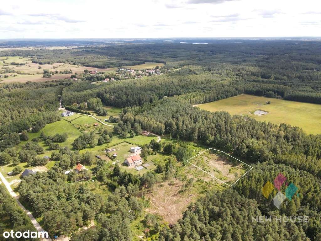 działka w sąsiedztwie lasu, z możliwością zabudowy - Pełny obrazek: 4/4