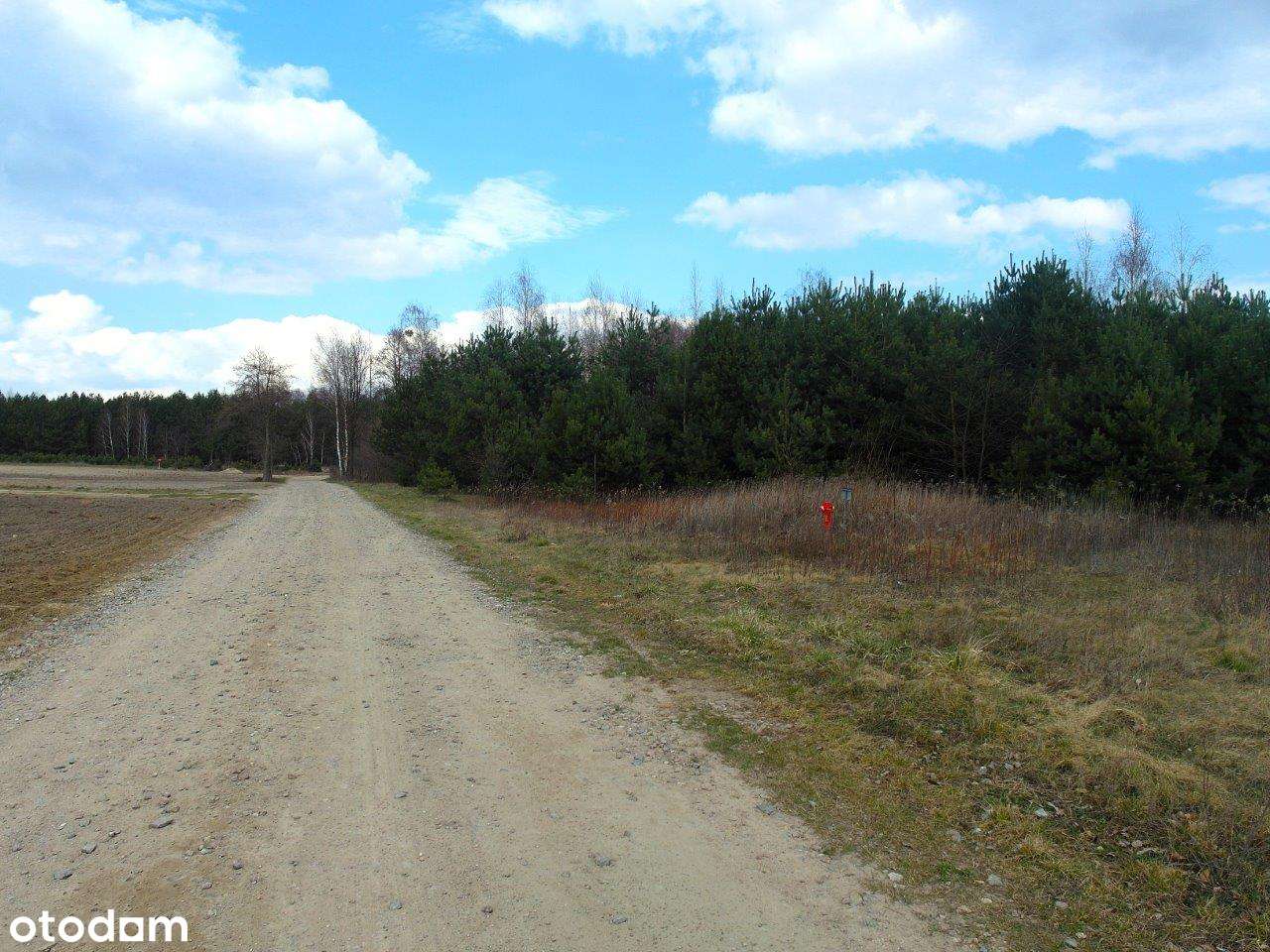 Działki w Nowym Grabiu - Pełny obrazek: 5/8