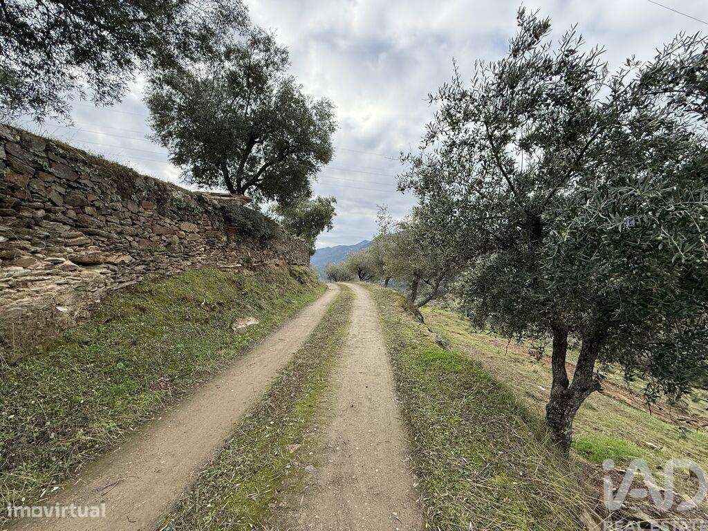 Quinta em Vila Seca e Santo Adrião - Grande imagem: 4/24