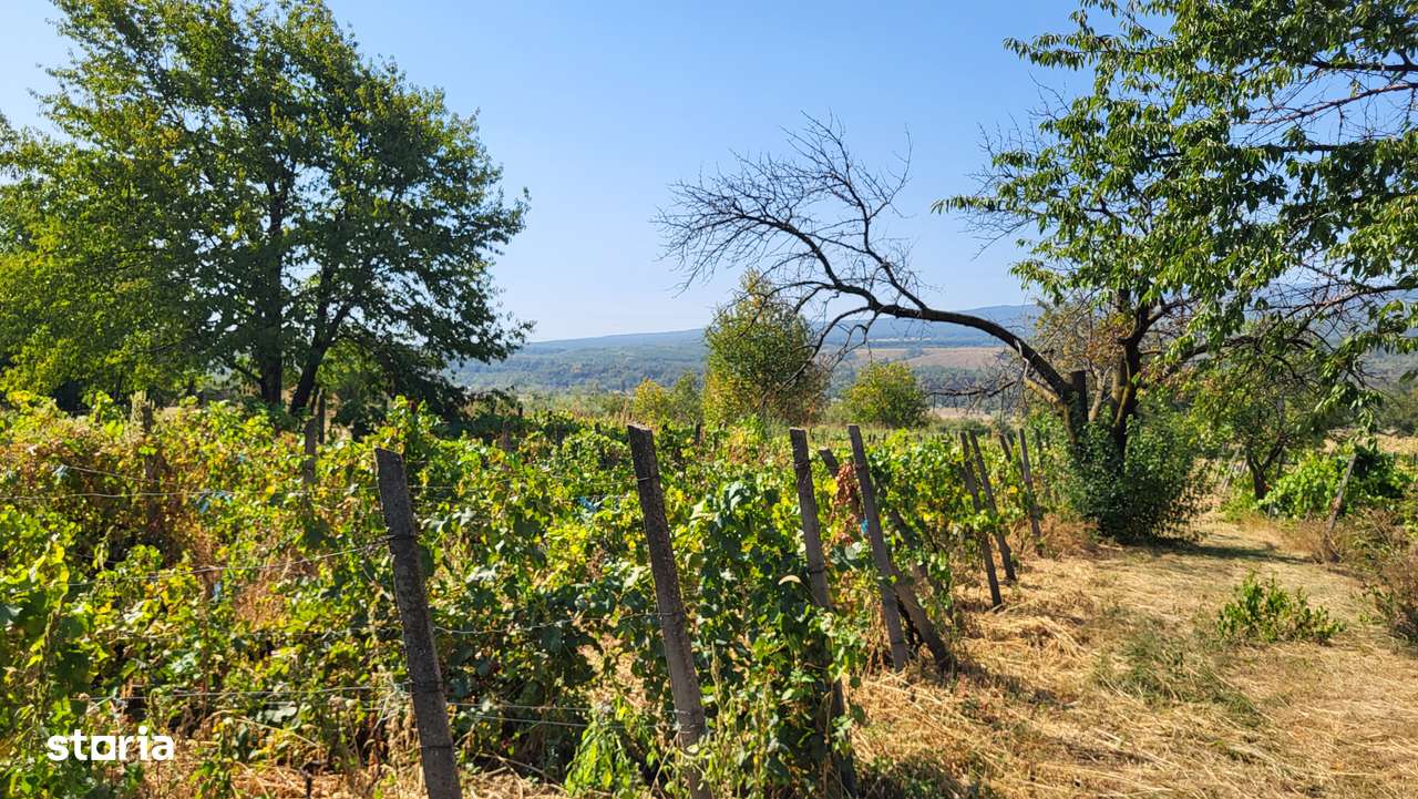 Casă de vânzare în mediul rural – liniște, natură și confort-9