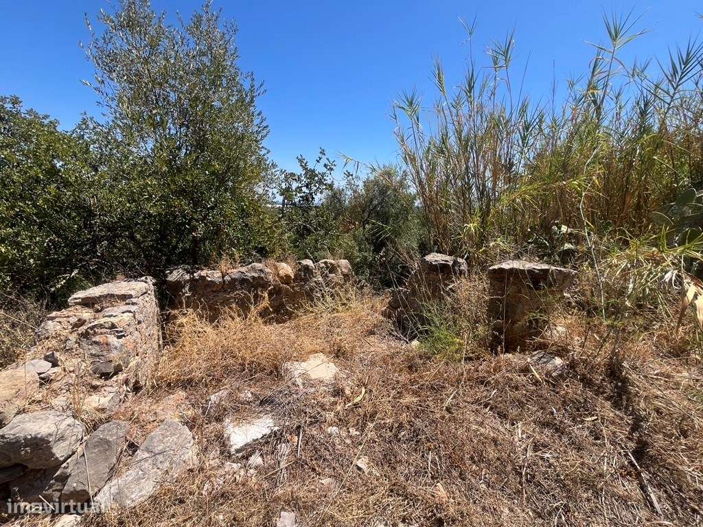 Quinta com duas casas, vistas para o mar e 11.940 m² de terreno em ...-45