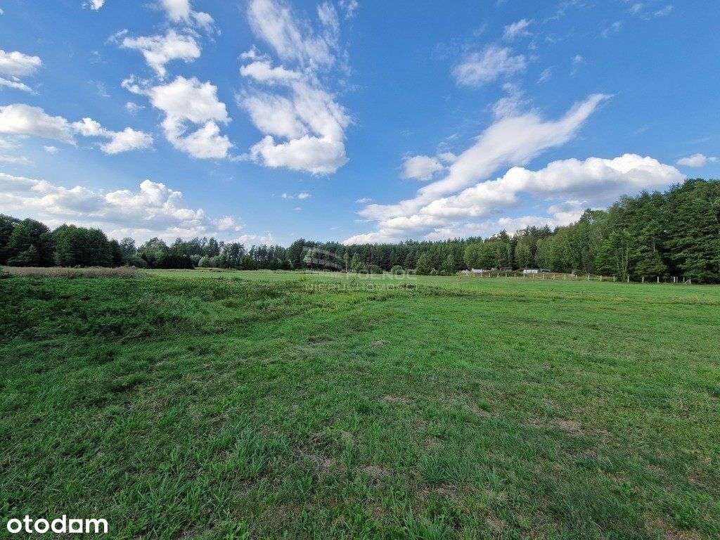 Rolna działka 0,8 ha Krynickie gm. Zabłudów - Pełny obrazek: 3/18