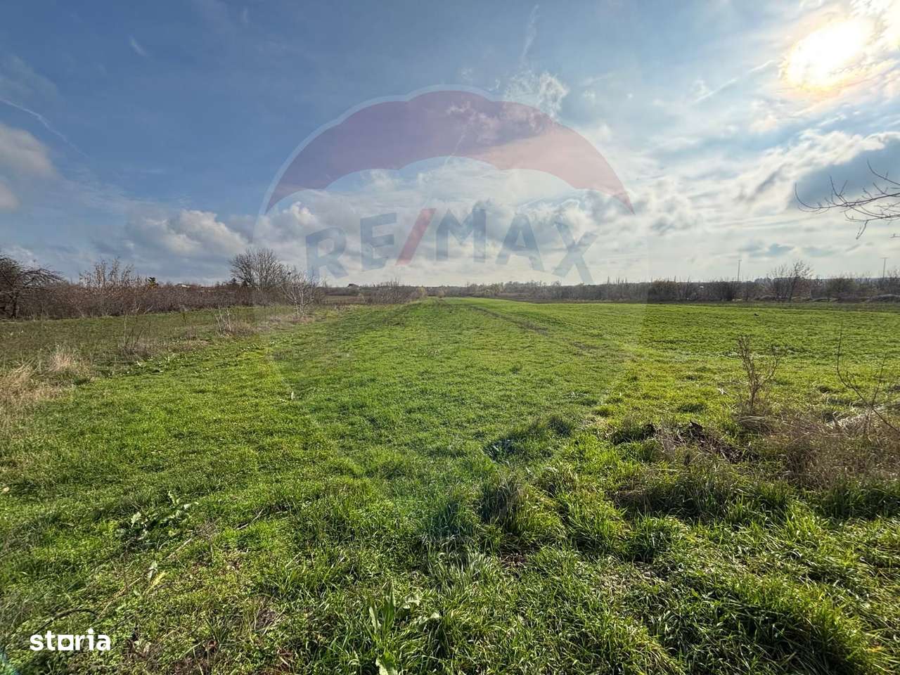 Teren 7.094 mp Buftea lângă parc – POT 30%, CUT 1, ideal dezvoltare-4