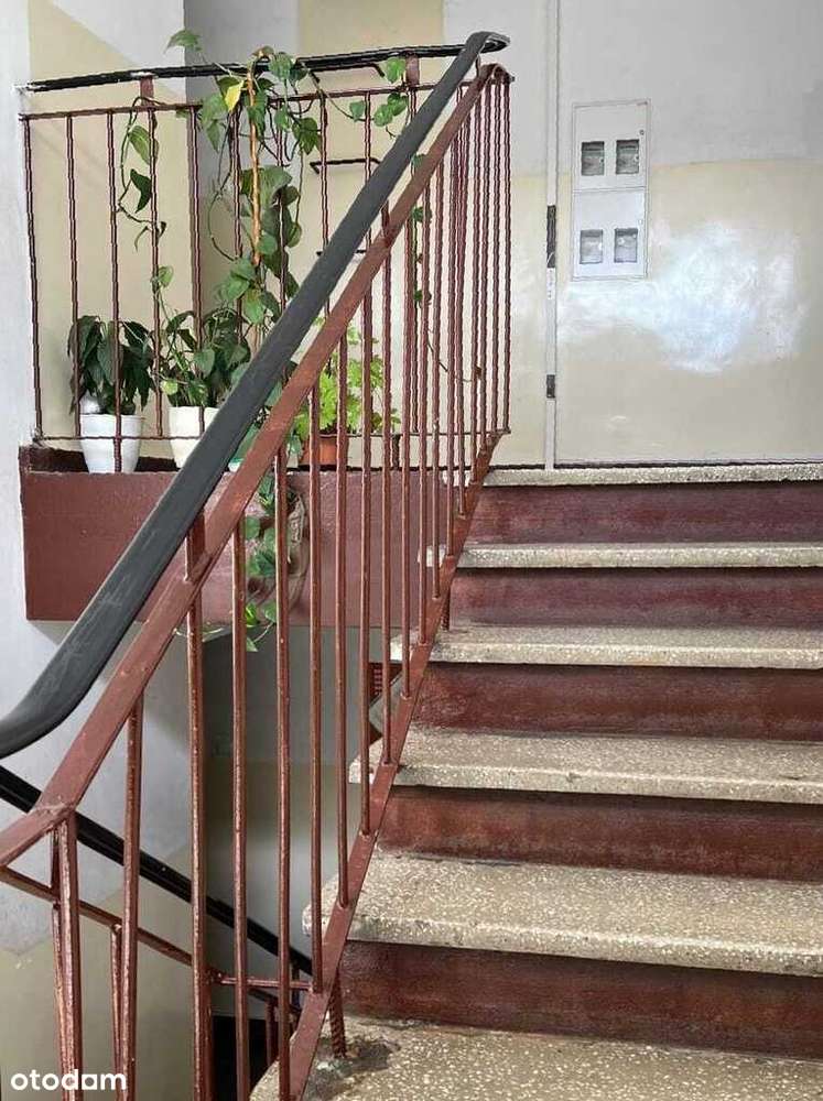 Wyczechy 3 pokoje, ogród do własnej aranżacji-16