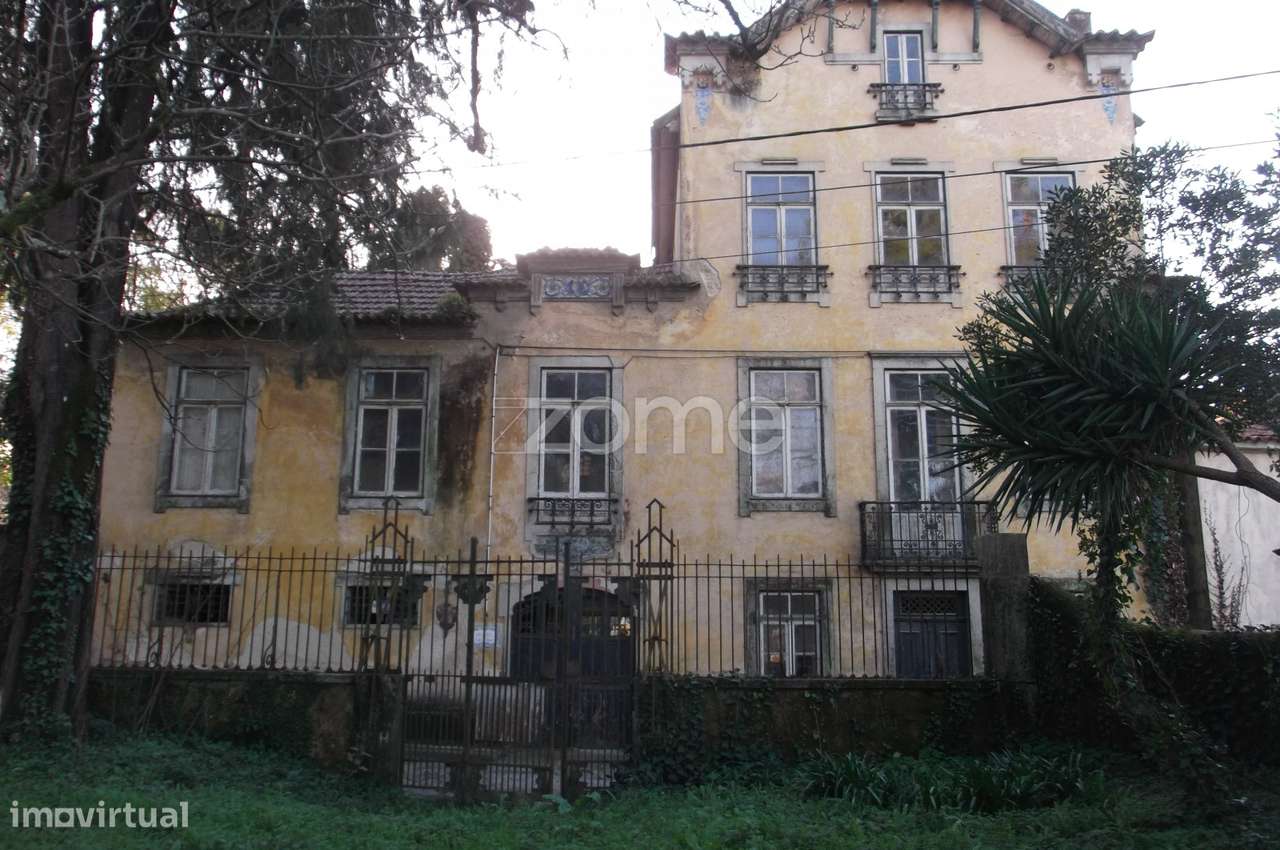 Quinta com edifício em ruinas e terreno com 14666 m2 - Grande imagem: 2/49