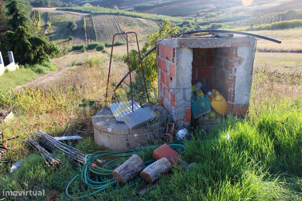 Terreno  Venda em Bombarral e Vale Covo,Bombarral-4
