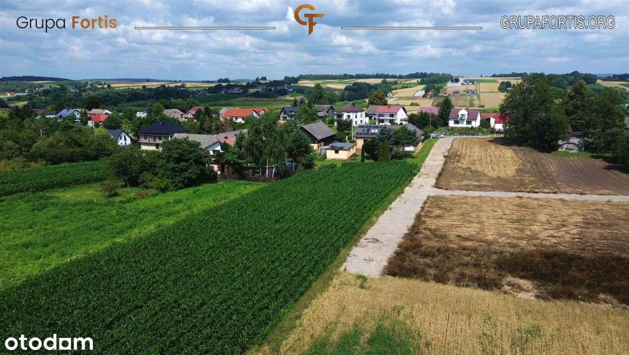 Działki budowlane | Biórków Wielki | 10ar | 180k - Pełny obrazek: 5/5