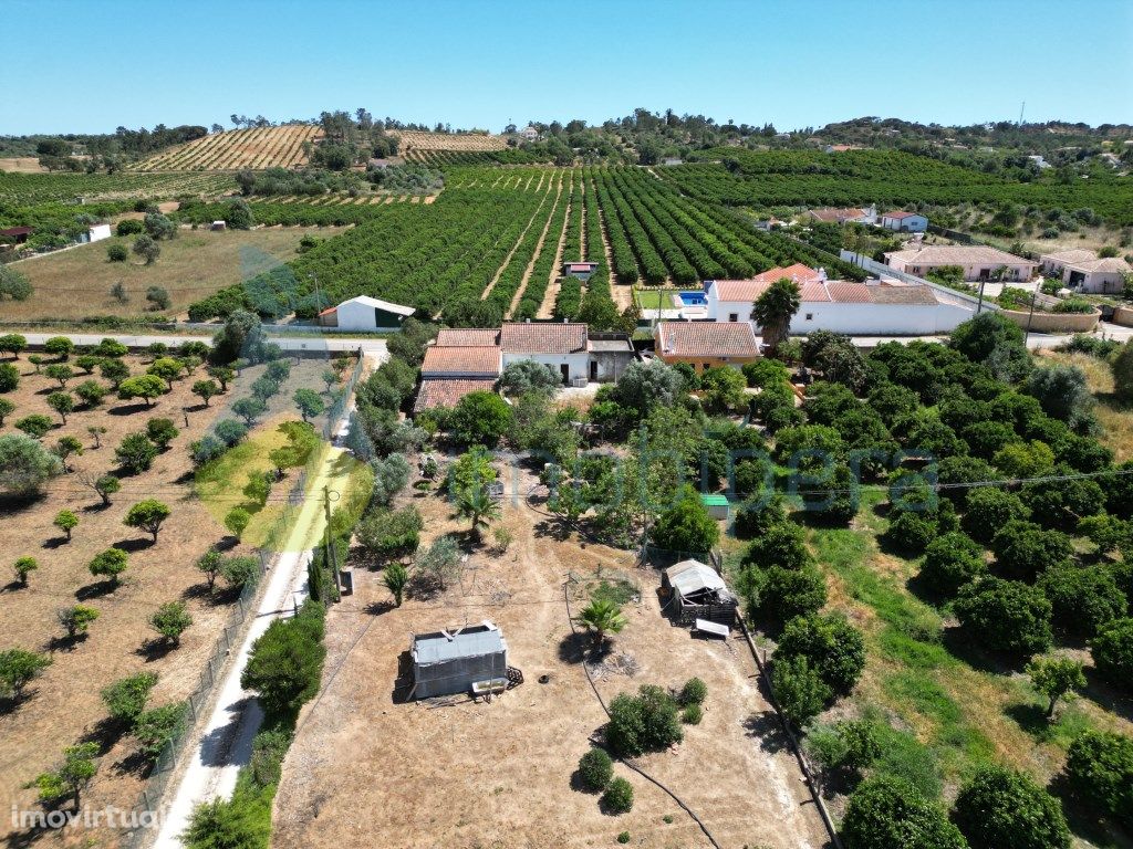 Quinta com Pomar de citrinos e casa térrea