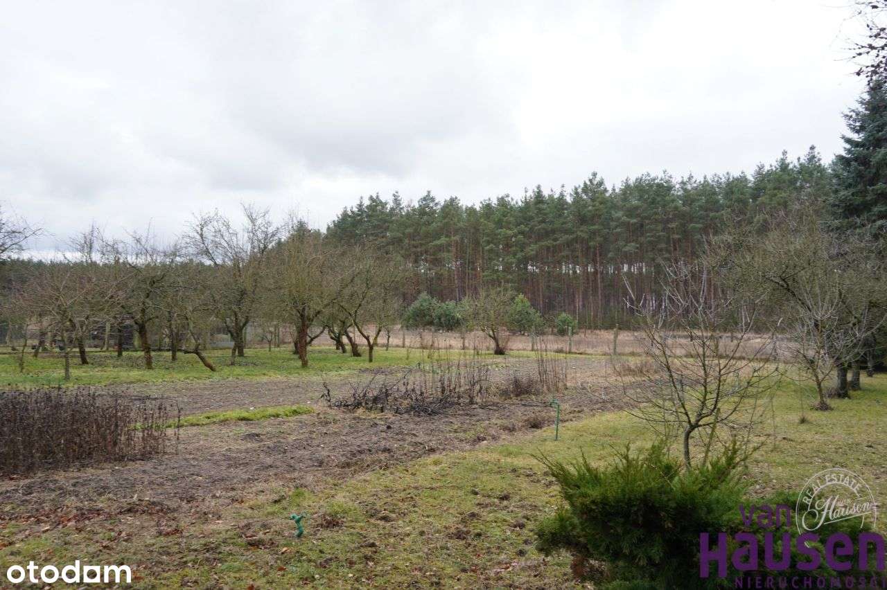 Działka, 45 m², Międzychód - Pełny obrazek: 4/13