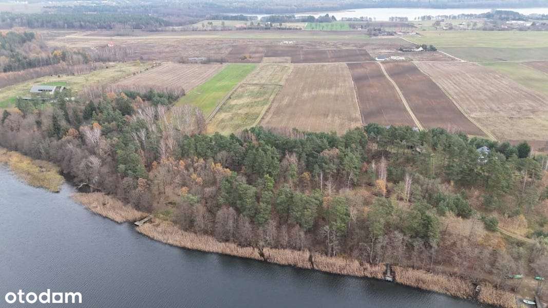 OSOBA PRYWATNA – Sprzedam działkę 3,94 ha z linią brzegową jeziora - Pełny obrazek: 5/8