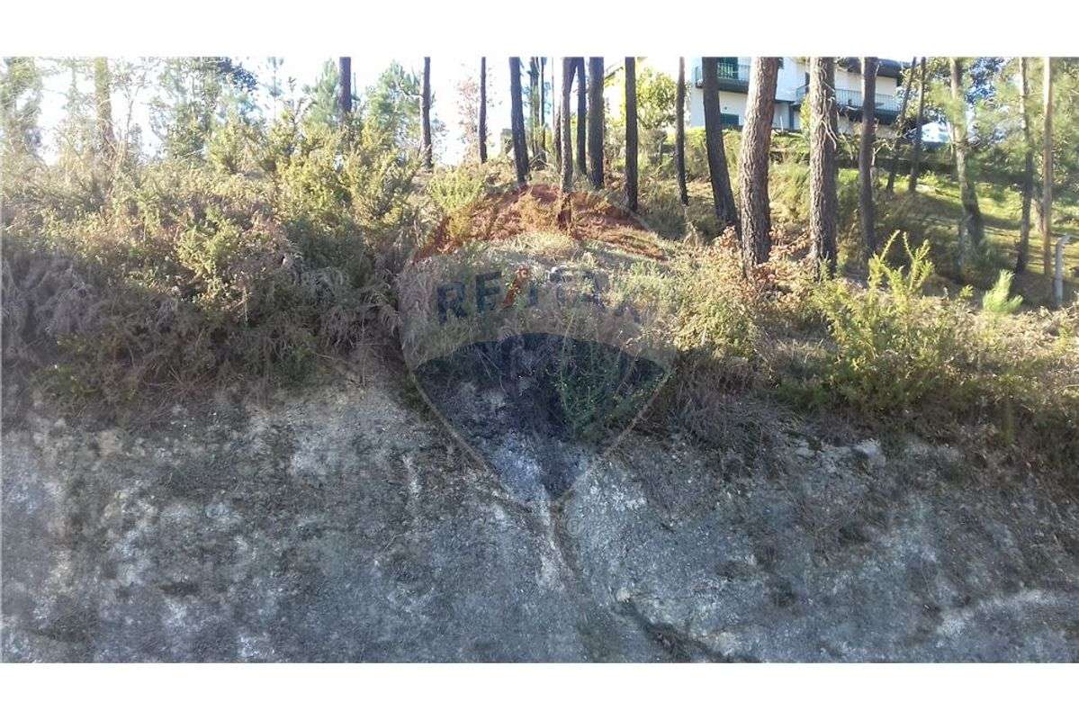 Terreno  para venda - Grande imagem: 4/4