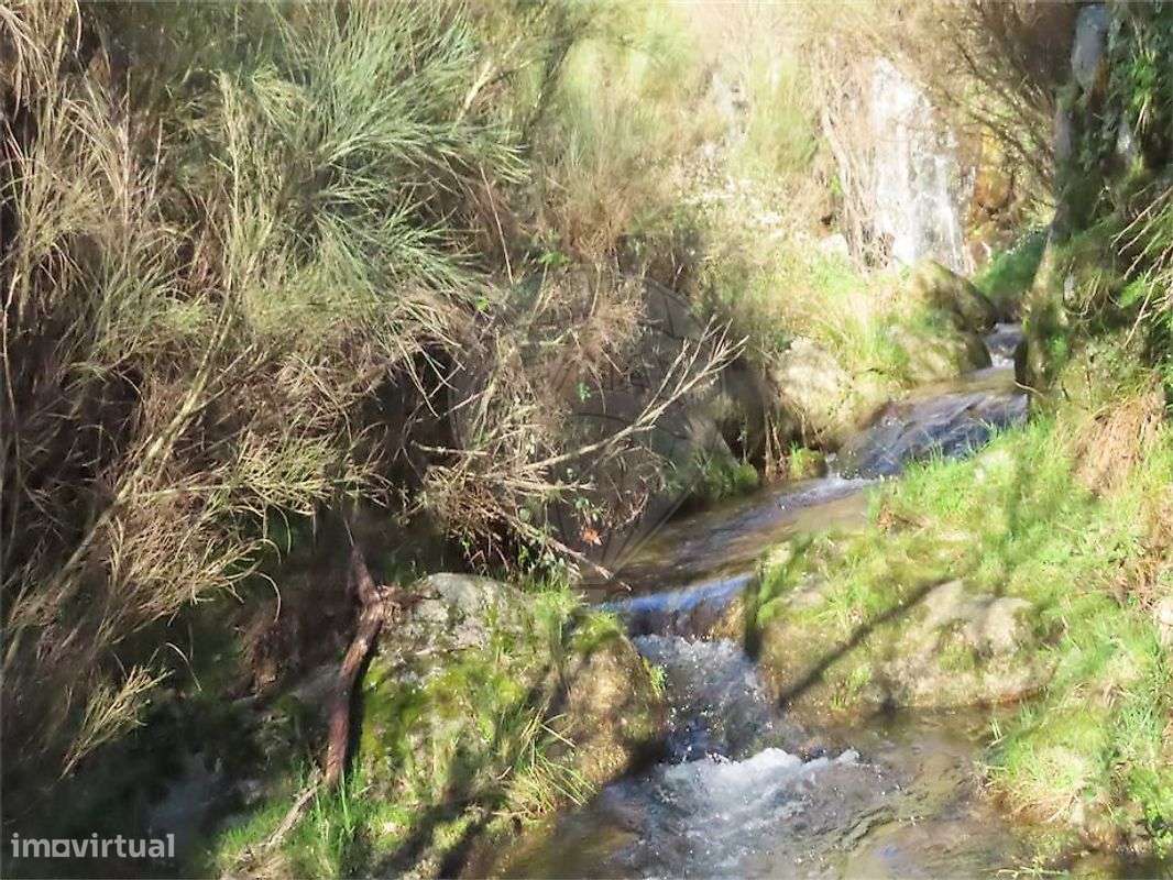 Quinta  para venda - Grande imagem: 3/50