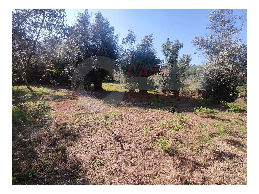 Moradia M4 pronta a habitar com terreno.-29