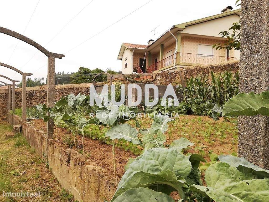 Venda de Terreno para construção, Albergaria-a-Velha, Aveiro - Grande imagem: 4/7