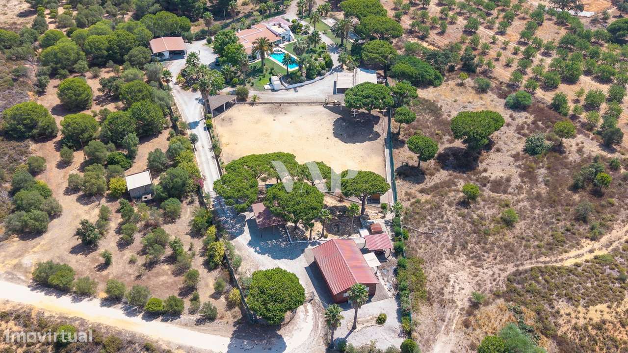 Quinta de 1ha com Cavalariças e Picadeiro, Quarteira - Grande imagem: 4/16