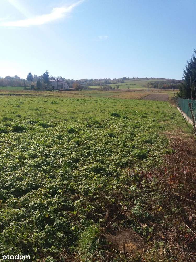 Działka Inwestycyjna - Blisko Krosna - Pełny obrazek: 4/6