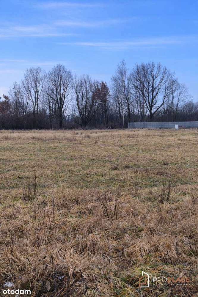 Działka z WZ Krasowiec /Deszczno 10 km do Gorzowa-1