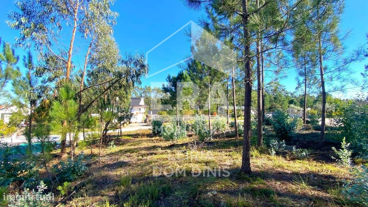 Terreno Urbano em Nossa Senhora da Piedade-5