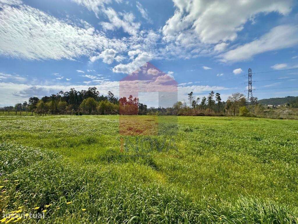 Terreno agrícola, Lanhas - Grande imagem: 5/27