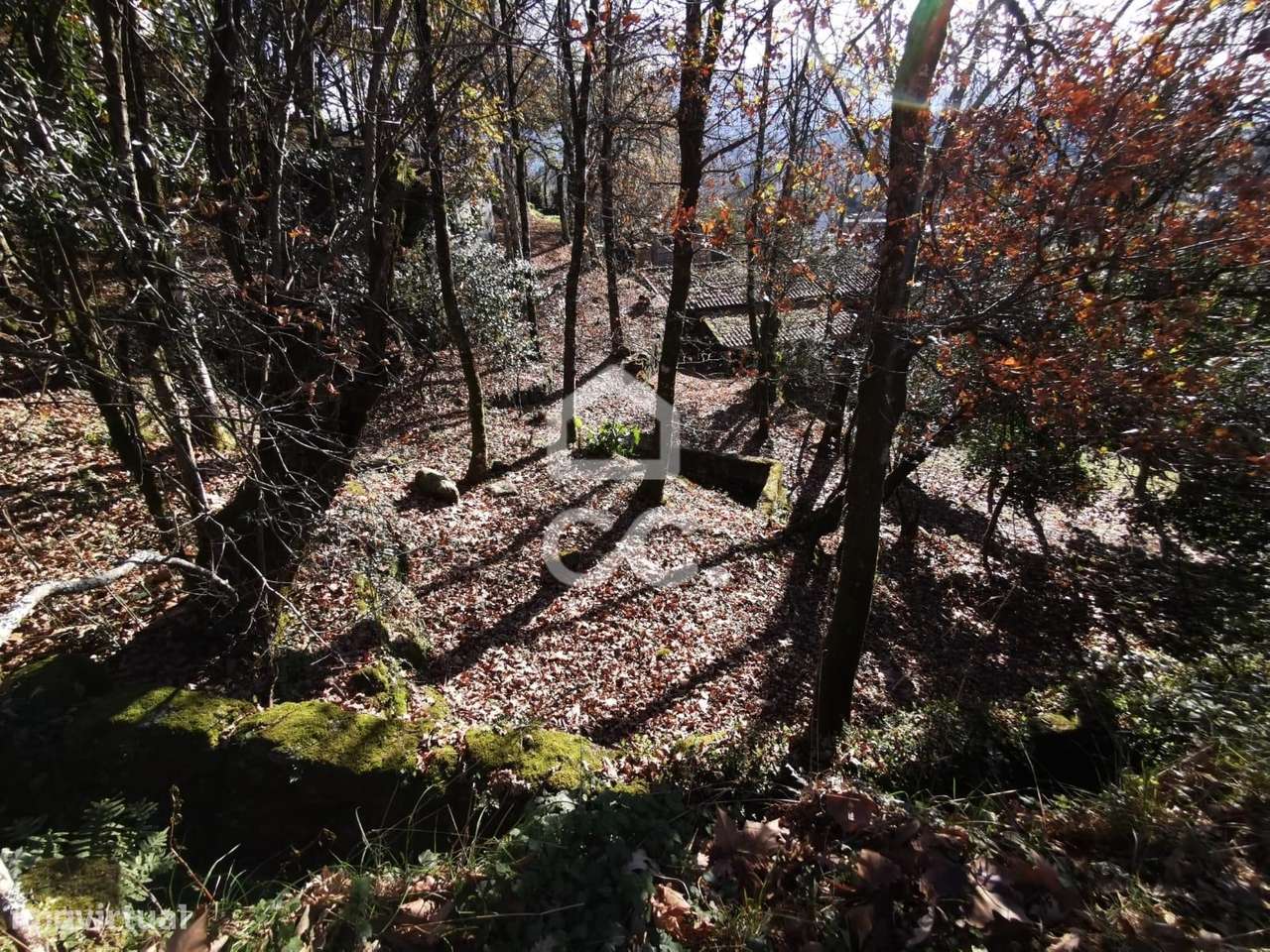 Quinta à venda em Rossas, Vieira do Minho-13