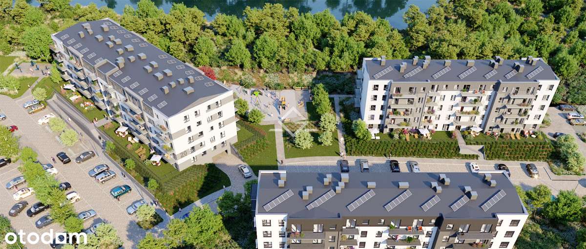 deweloperka | siłownia | słoneczne - Pełny obrazek: 3/12