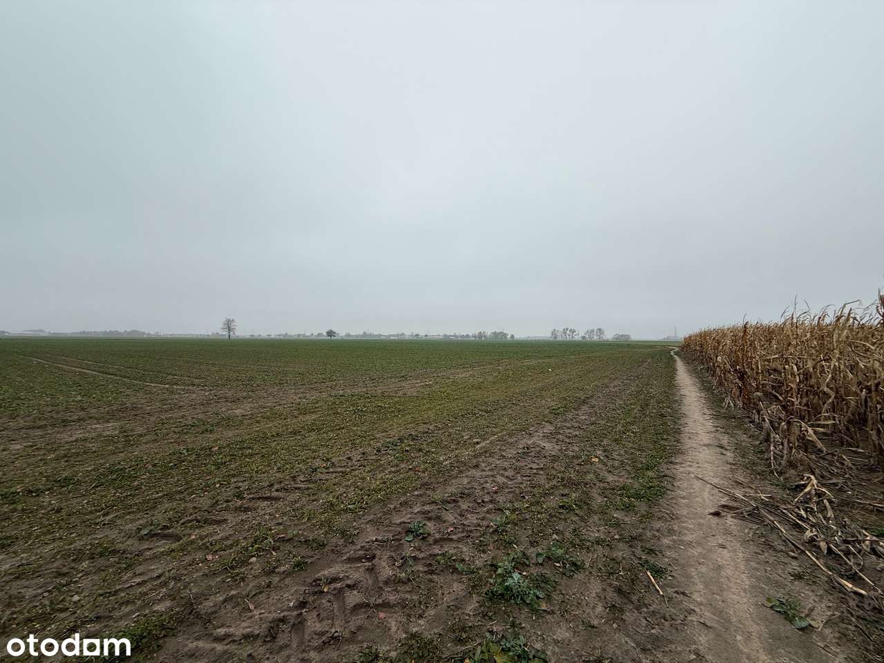 Grunt inwestycyjny, turystyka, sport i rekreacja, Batorowo-10