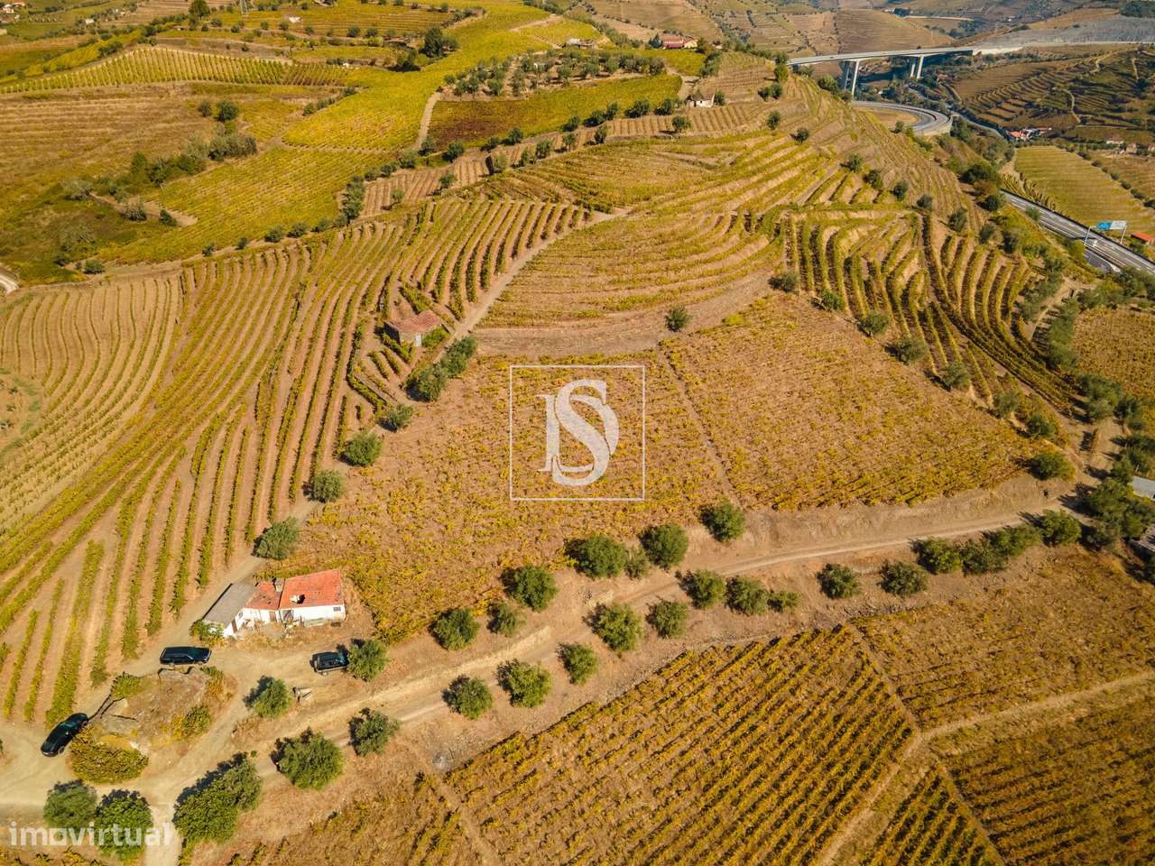 Quinta em Peso da Régua-15