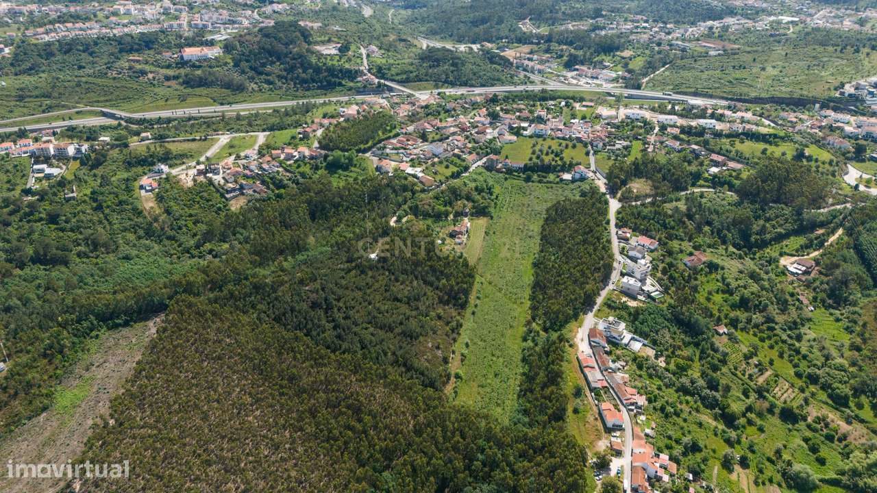 Quinta com 8 hectares com potencial para construção – Antanhol - Coimb-10
