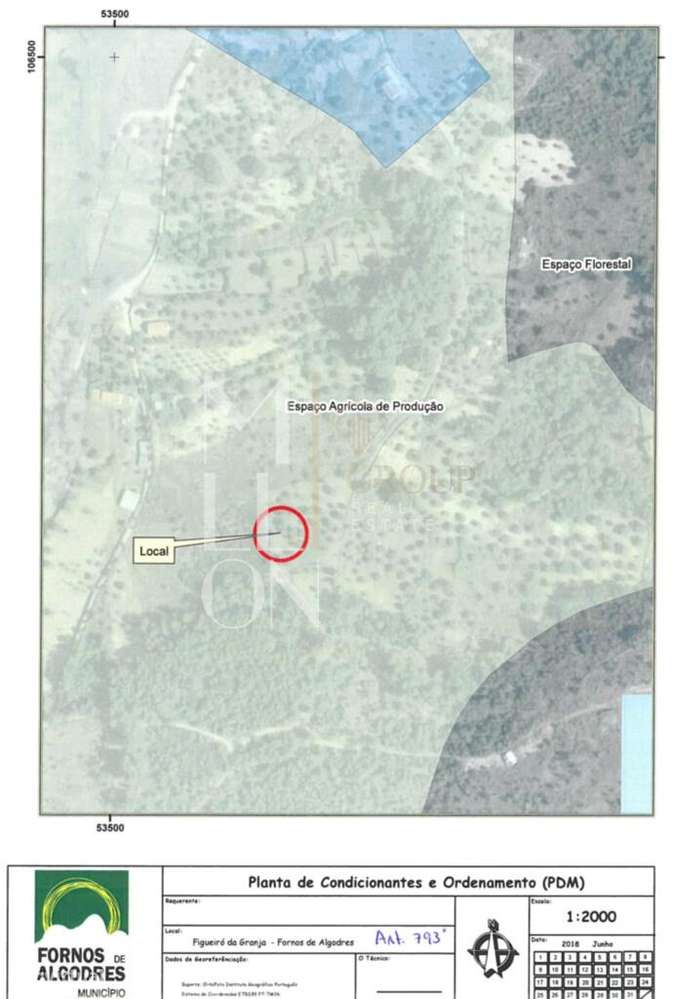 Terreno com Oliveiras- 793 - Grande imagem: 4/8