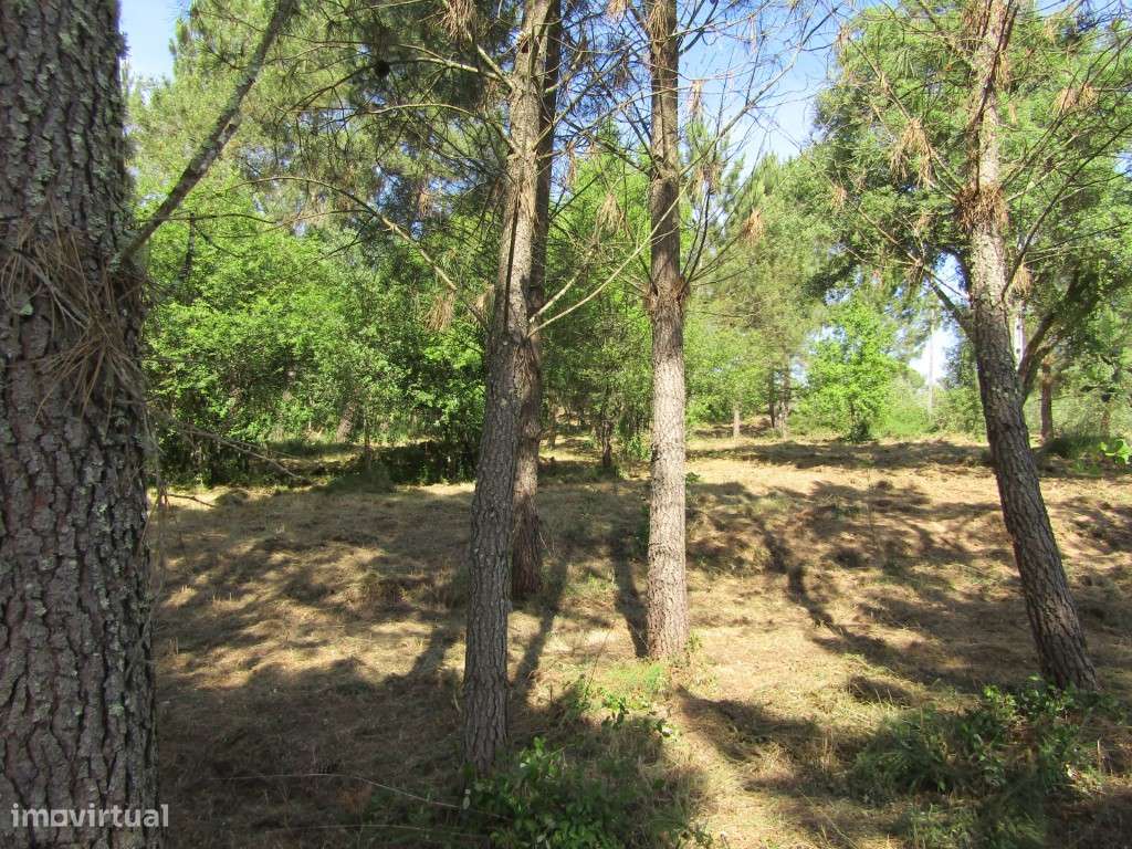 P26-238 Casal da Loba - Terreno Urbanizável no Centro de Portugal e...-26