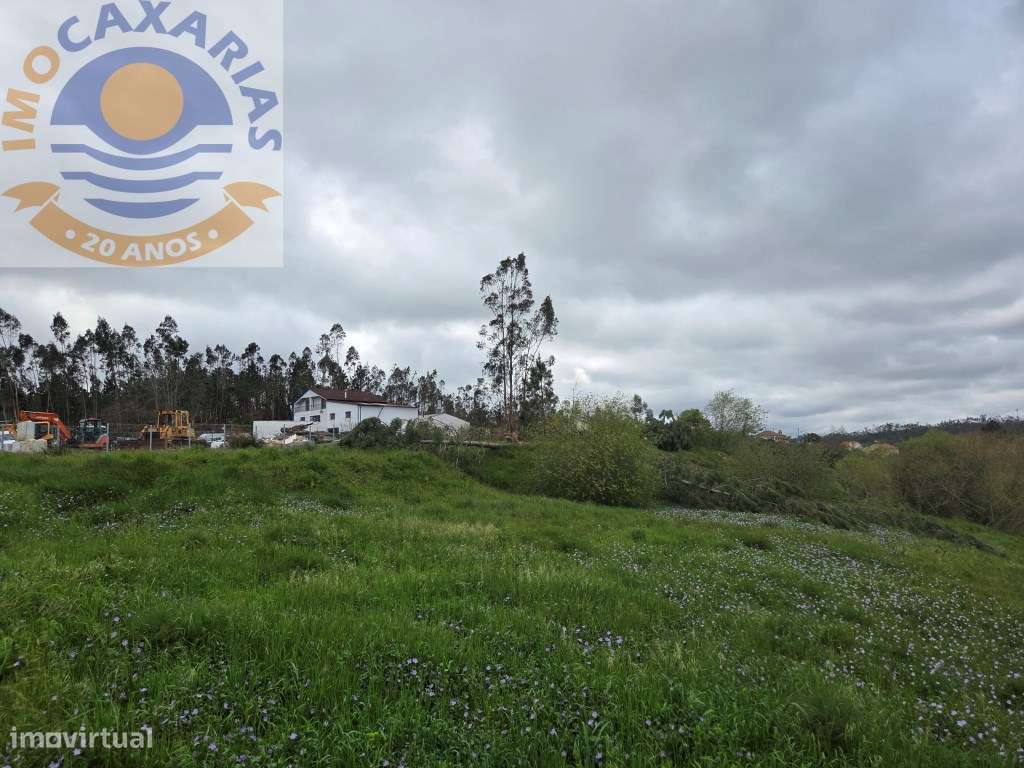 Terreno soalheiro e plano a 2 min de Caxarias e 10 min de Ourém-10