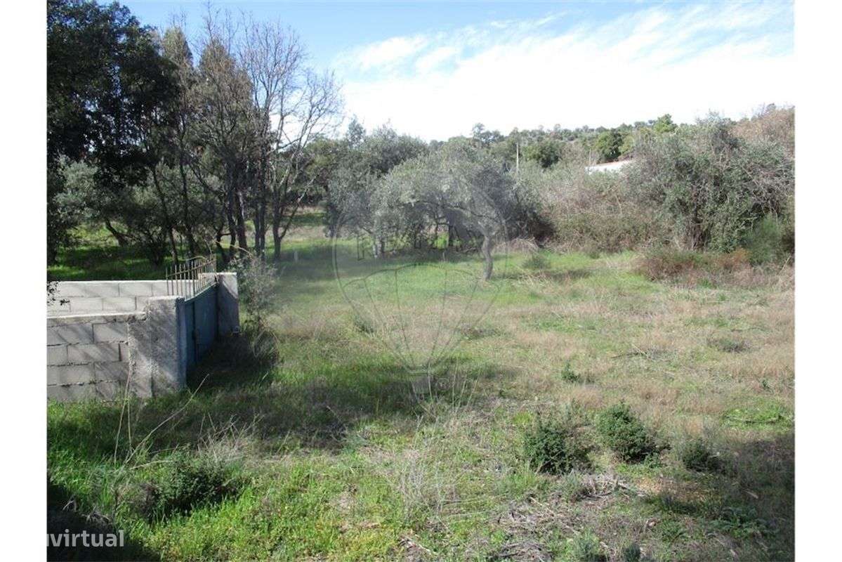 Quinta T0 para venda - Grande imagem: 2/35