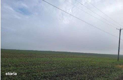 Teren extravilan Orbeasca, ID: R2836912-8